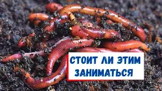 Не открывайте вермиферму пока не посмотрите это видео