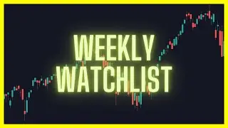 Where are the bulls? | Weekly Watchlist