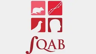 Выбор как распределение времени - Говард Рахлин