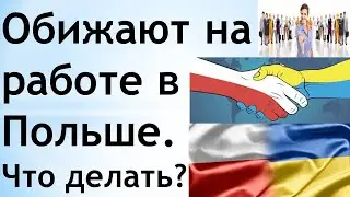 Оскорбления и унижения в Польше. Что делать?