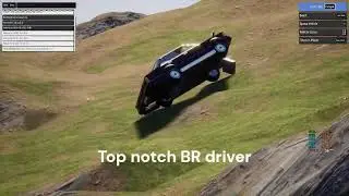 The BrickRigs RP Experience