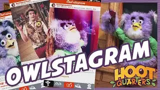 OWLSTAGRAM | How to get Instagram famous
