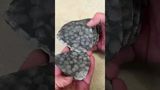 Making Cladopora Pendants  