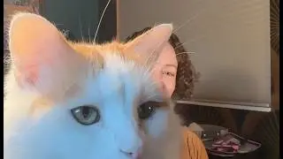 Kit's Spotlight
