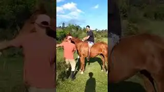 Ay pincha, ay pincha!!