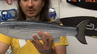 Dummy Loban Zamanukha for Mullet, Singil Durka, Maruska underwater hunting