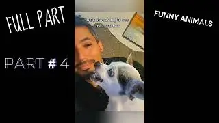 FULL PART # 4 funny animals| 535 SECONDS OF LAUGHTER WITH ANIMALS