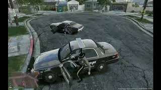 LSPDFR Patrol!