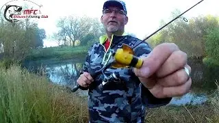 Bumblebee Baby Bass and Big Bluegill