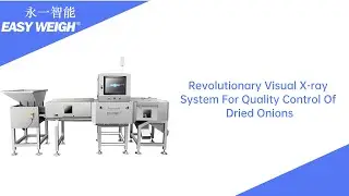 Uncovering The Secrets: Revolutionary Visual X-ray System For Quality Control Of Dried Onions