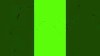 Green Screen Smoke 