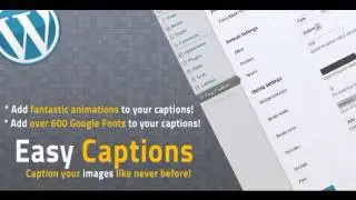 Preview WP Easy Captions with Google Fonts
