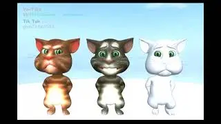 Nyan Nyan animated clip - old model tom and leo cat
