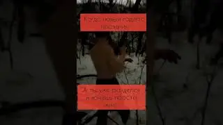Когда в новогодние праздники решил подумать о будущем #цитаты
