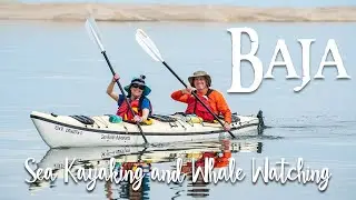 Baja Sea Kayaking & Gray Whale Watching Adventure | Camp, Paddle & Explore