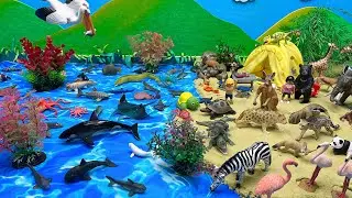 Sea Diorama With Safari Animals | Fun Animal For Kids