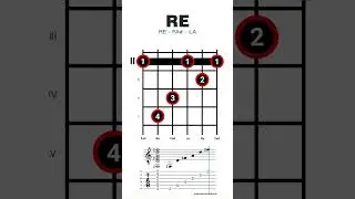 Re Mayor / #dmajor  | 2da Posición [1era opción]