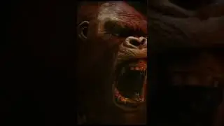 #godzillaxkongnewempire