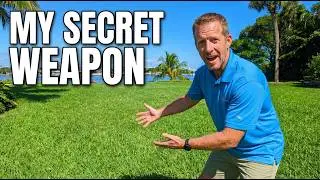 St. Augustine Grass | Pros Cons Tips and Tricks