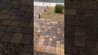 Hail in Las Vegas