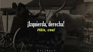Carul cu boi [SUB ESPAÑOL // ROMÂNĂ // RUMANO]