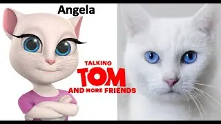 Talking Tom and Friends Characters In Real Life | JD Cars Toys