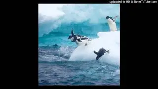 Arctic Circles