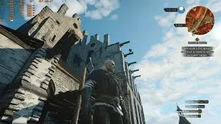 The Witcher 3 - WHAT IS HE DOING THERE