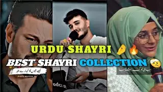 Best Shayri Collection Part-2// WhatsApp Shayri Status Mazak Rath Show