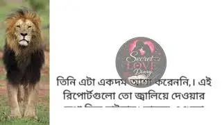Bangla Romantic Story | Love & Motivation | Heart Touching Golpo | Motivation Story