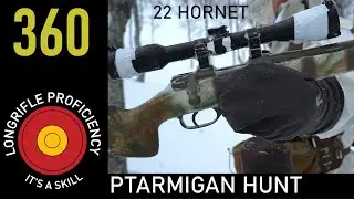 LRB 360: 22 Hornet hunting