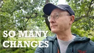 Time for change : Woodland Photography