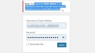 Can't login to WordPress - Solved