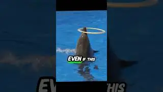 Don't give up