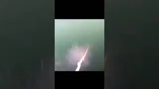 подводная охота на пелядь