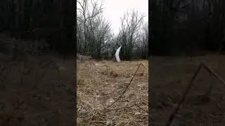 пленные военные ВСУ украины