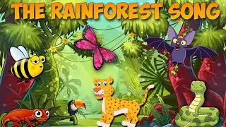 Rainforest Song