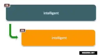 Say it in French =  intelligent