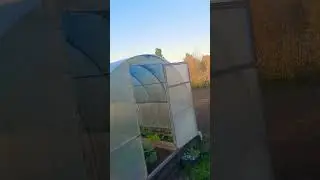Доброе утро 🌞🫶💞 