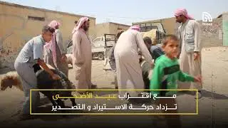 سوق بيع المواشي في مدينة الرقة
