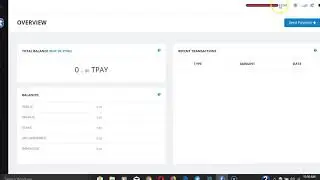 Tokenpay Windows wallet overview