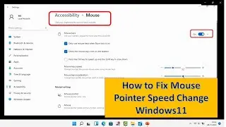 How to Fix Mouse Pointer Speed Change in Windows 11