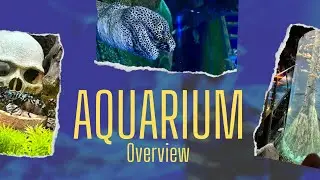 Aquaria KLCC Kuala Lumpur 2022 - Overview | Aquarium Slideshow video