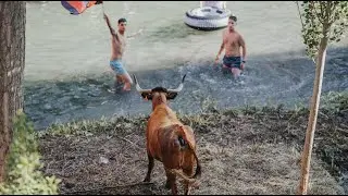 El esperado regreso: Vacas por el Tajo 2023