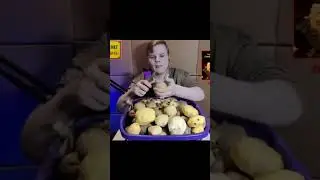 #kussia