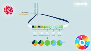 Verdieping genmutaties Cystic Fibrosis (CF)
