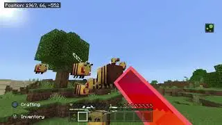 what to do when you break a beehive in minecraft.