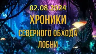 02.08.2024 года -  2. Хроники разрушения