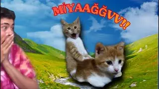 KEDİM KOCAYA KAÇTI!!!