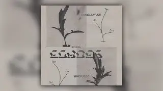 [FREE] Sample Pack/Loop Kit 